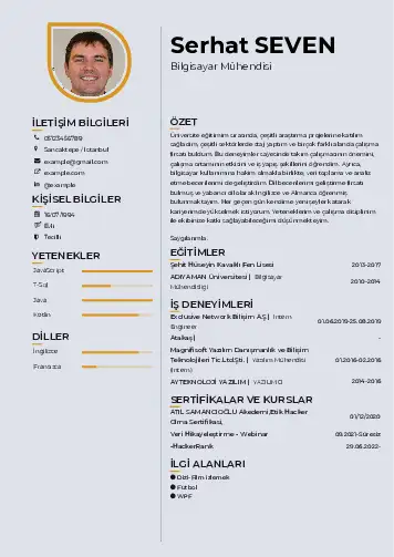 Bilgisayar Mühendisi CV Örnekleri cv indir